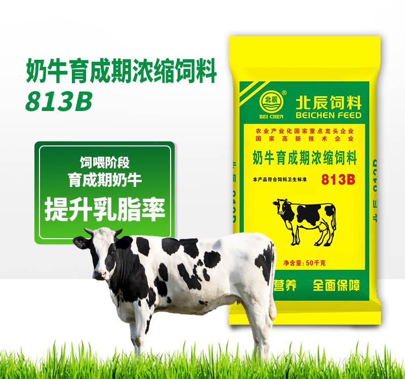 商洛北辰反芻飼料廠(chǎng)家