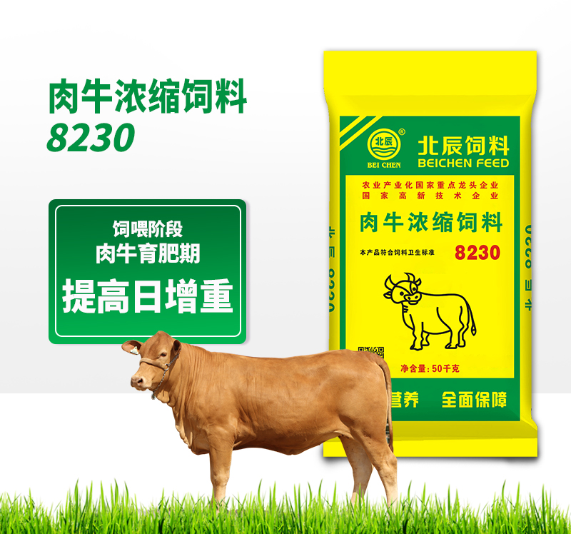 石家莊北辰反芻飼料廠家